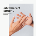 FH Salzburg Jahresbericht 2018/19 (pdf)